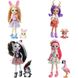4 ляльки та 4 фігурки тварин Enchantimals FTN36 FTN36 фото 1