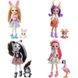 4 ляльки та 4 фігурки тварин Enchantimals FTN36 FTN36 фото 3
